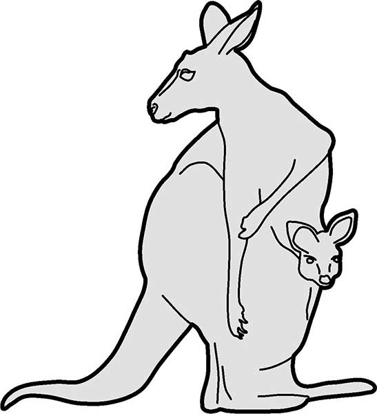 Shape Animal Kangaroo with Joey