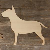 Bull Terrier Standing Main Image