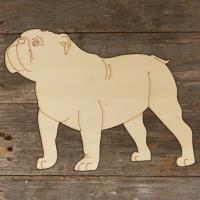 Dog English Bulldog Standing Main Image