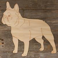 French Bulldog Standing Main Image