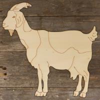 Goat Standing Main Image