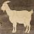 Main Image Goat Standing