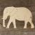 Main Image African Elephant Standing Side