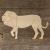 Main Image African Lion Walking