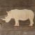 Main Image Rhinoceros Standing