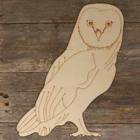 Barn Owl Perching Main Image