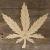 Plain Image Cannabis Leaf Accurate Single