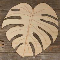 Monstera Deliciosa Leaf Main Image